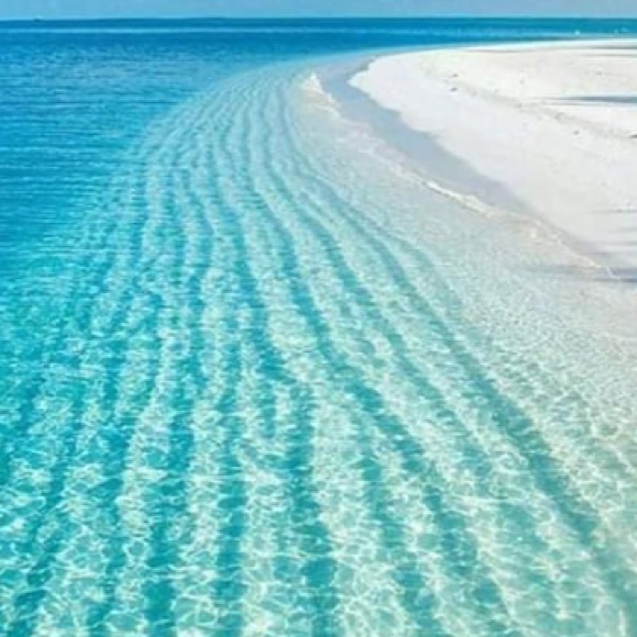 Meet your Posher, Kelly - Picture 1 of 1